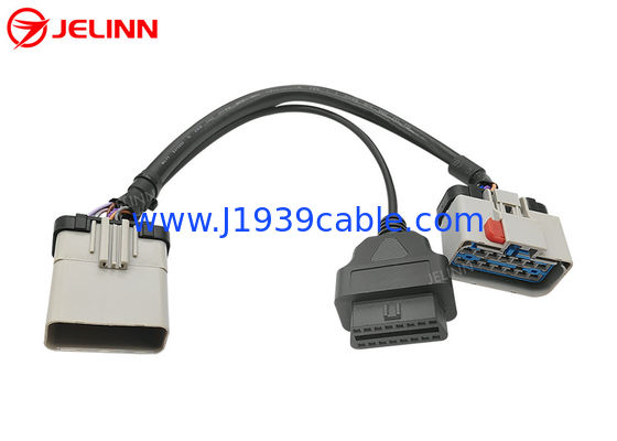 Cavo femminile grigio del separatore Y della femmina di RP1226 14 Pin Male To RP1226 e 16 di Pin OBD2 OBDII